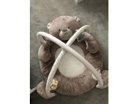 teddy's toy box luxury playmat and arch